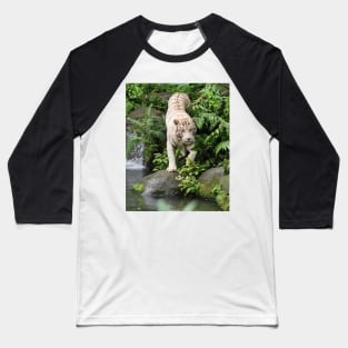 Prowling Along The Riverbed Baseball T-Shirt